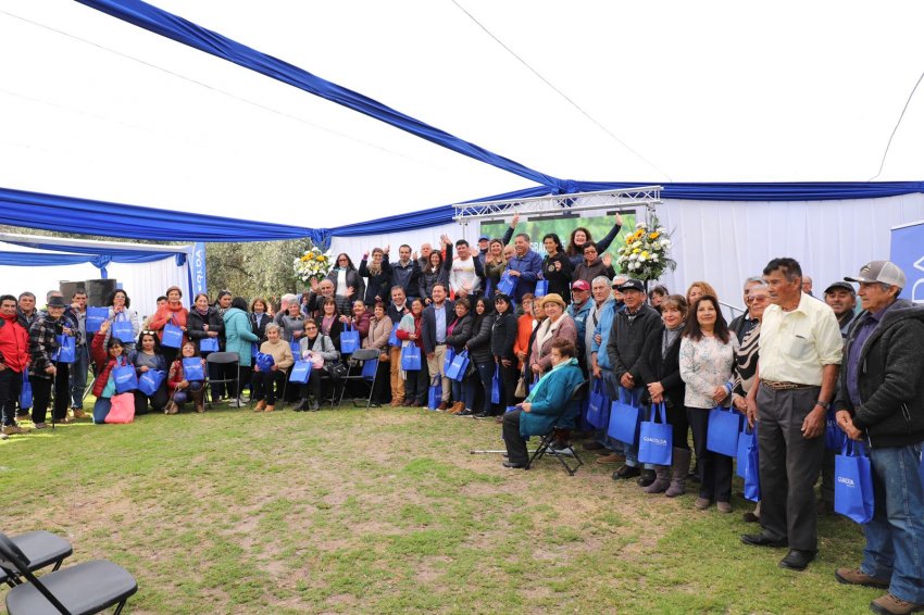 Potencian el desarrollo de la Olivicultura en la provincia del Huasco
