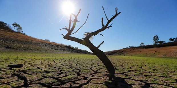 CPC encabeza plan de acción en ocho sectores para combatir el cambio climático